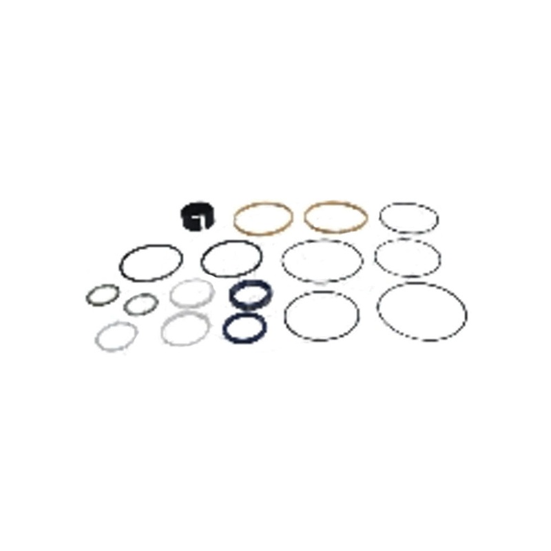 1101-1253 - Hydraulic Cylinder Seal Kit Fits Ford/New Holland
