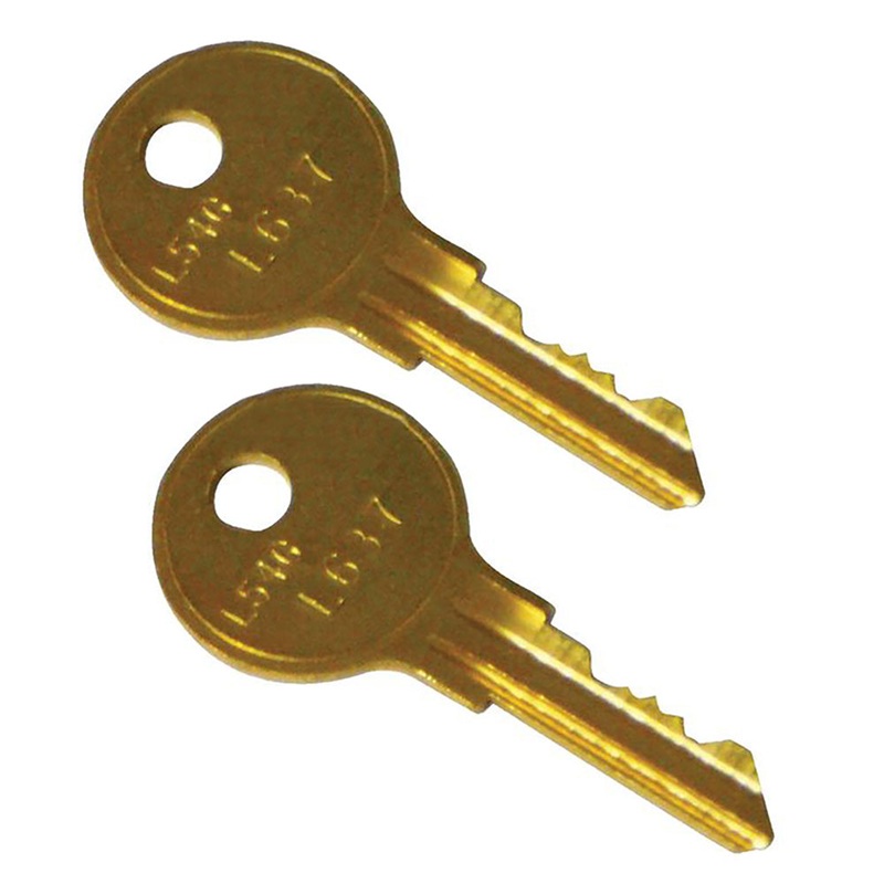 Qty 2: Ignition Key(s) Fits Ford/New Holland Replaces 8N3679C
