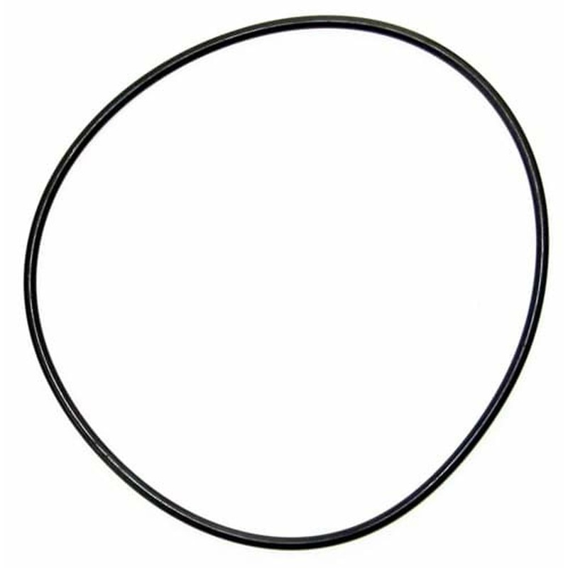 285253 IPTO Bearing Cage O-Ring Fits International