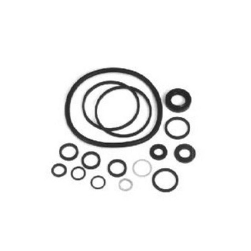 Power Steering Pump Seal Kit Fits Massey Ferguson Replaces 1635948M1