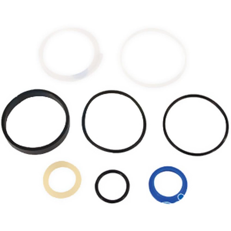 Power Steering O-Ring Kit Fits Massey Ferguson Replaces 1606890M1
