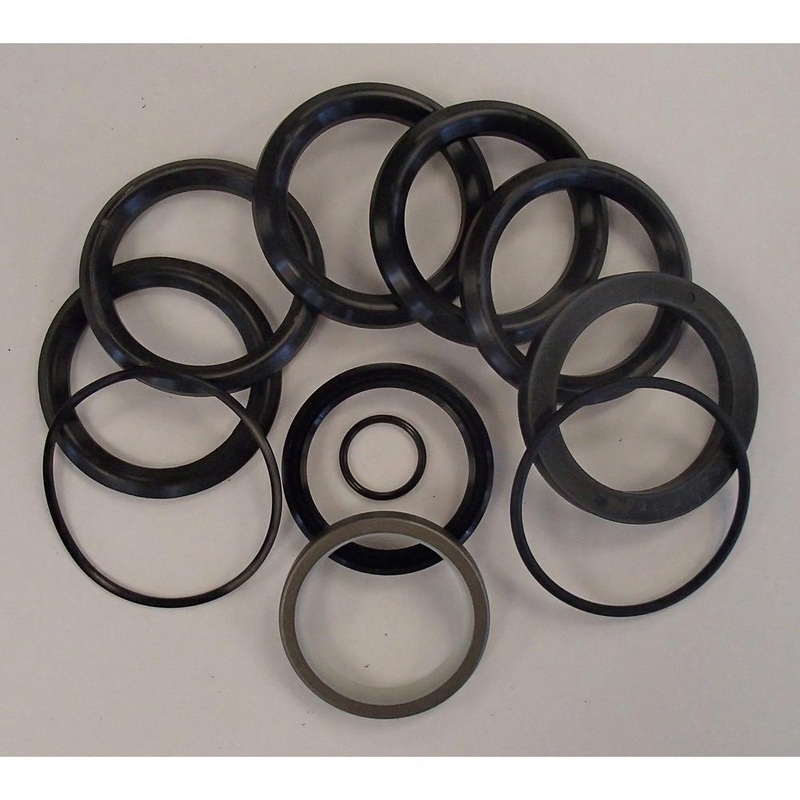 Cylinder Seal Kit Fits Ford/New Holland Replaces 309984