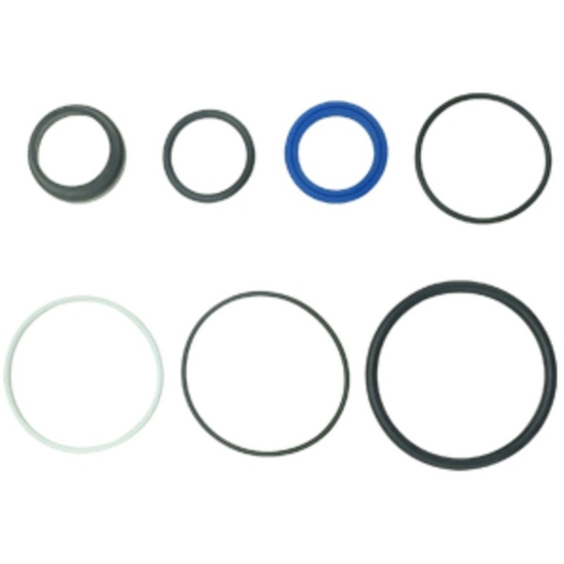 Power Steering Cylinder Seal Kit Fits Massey Ferguson Replaces 1749798M91
