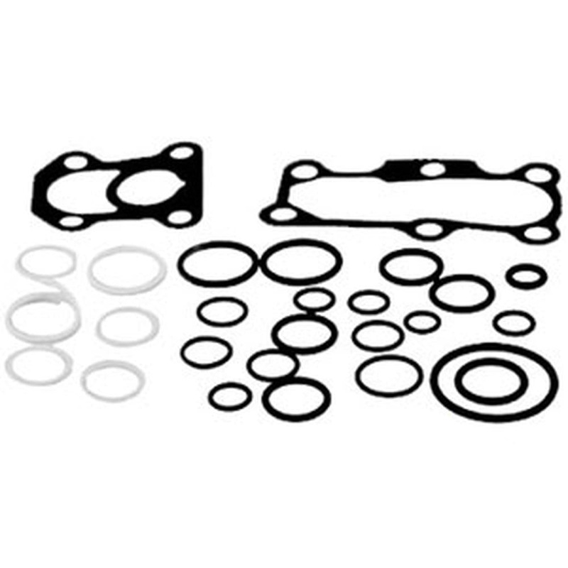Hydraulic Pump O-Ring & Gasket Kit Fits Massey Ferguson Replaces 1810680M92
