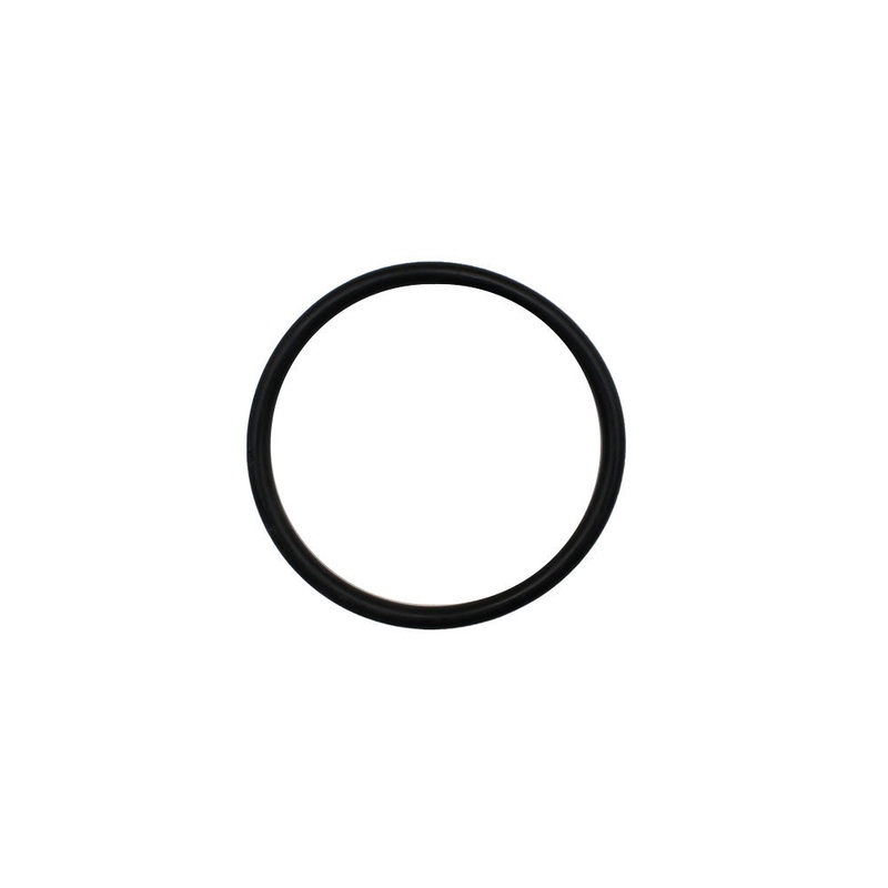 Hyd. Lift Cylinder Piston O-Ring Fits Ford/New Holland Replaces 81801571