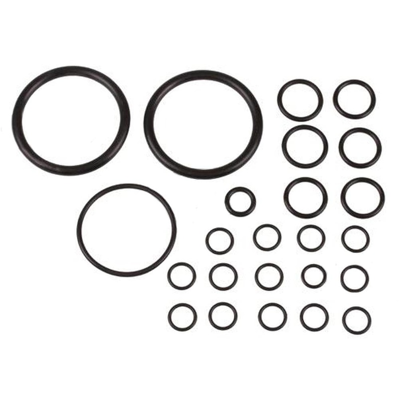 894906M91 Hydraulic Pump O-Ring Kit - Fits Massey Ferguson MF35 202 204