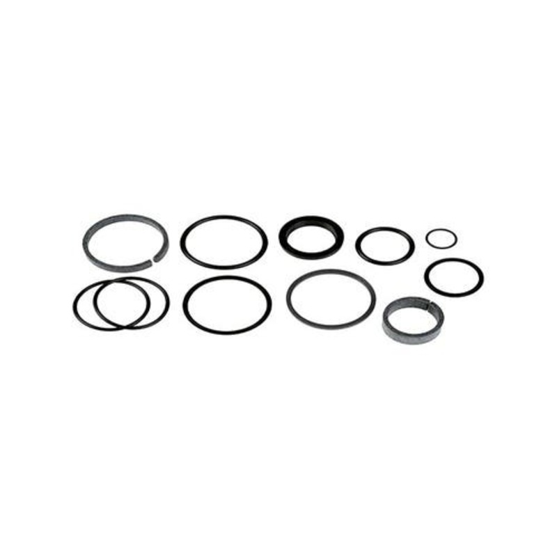 Cylinder Seal Kit HTL and HSL Series fits Ford M6040-11-0399 11-0399 105932