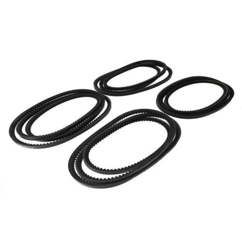Vicon Belt Set of 4 fits Vicon VN43303426