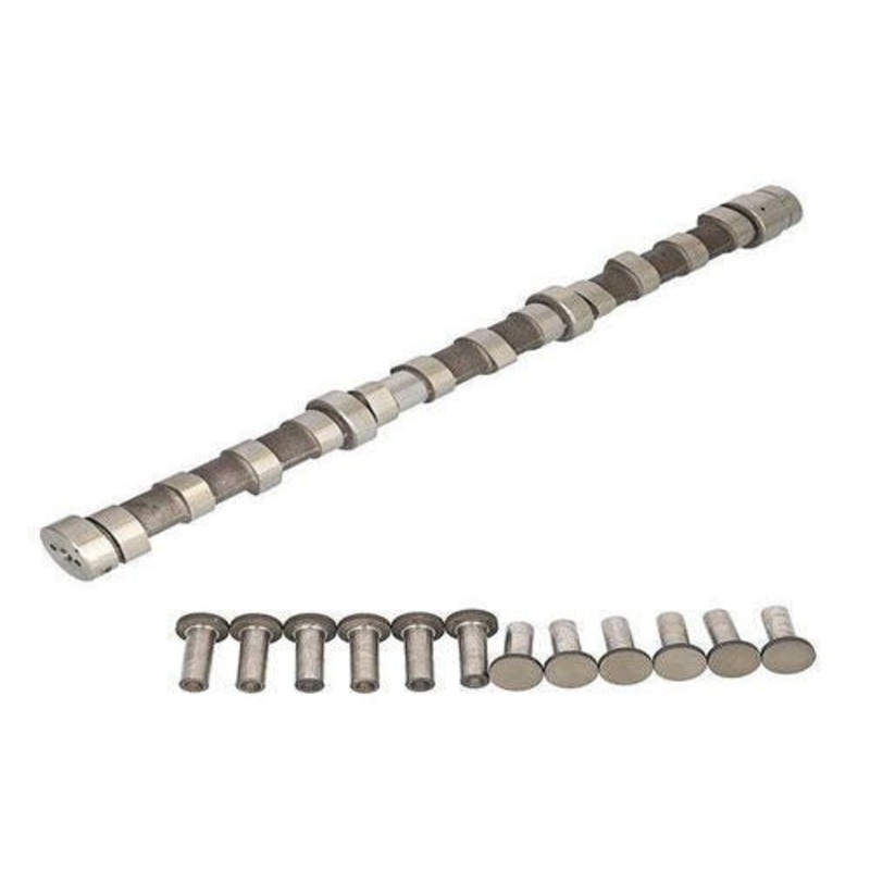 Camshaft fits John Deere 7700 7800 7710 7720 7810 7820 7920 8100 8110 8120 8200 8210 8220 8300 8310 8320 8400 8410 8420 8520 9100 9120 9420 R120872